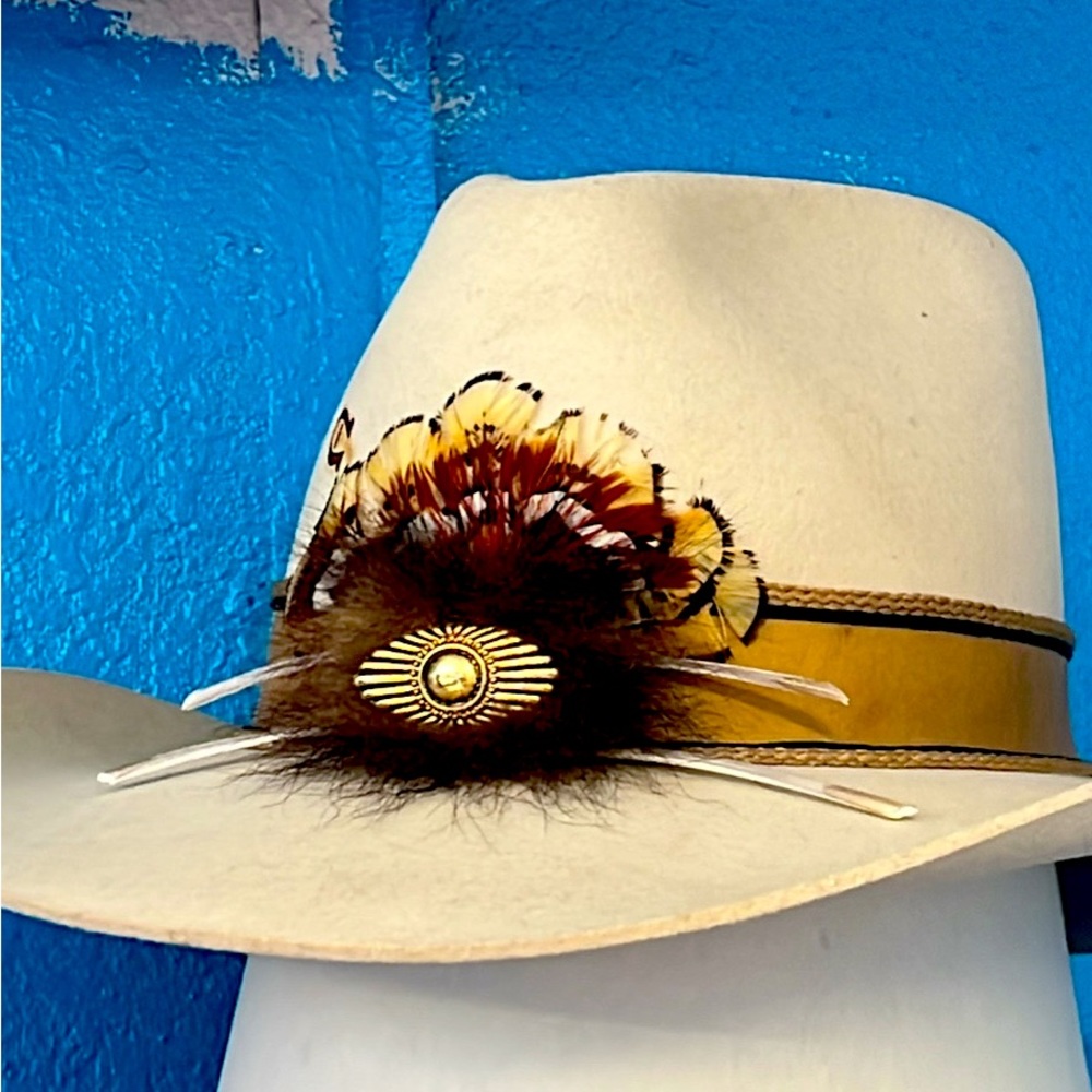Crazy One Horse Richard Petty Signature Series Cowboy Hat 

Mint Condition
